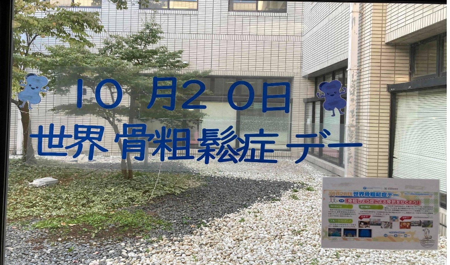 令和６年度ライトアップ風景4